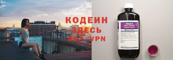 гашик Касимов