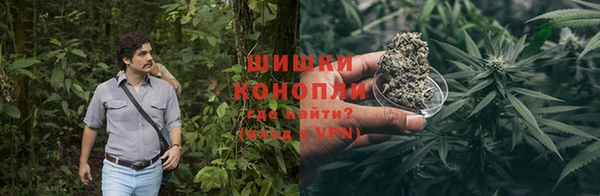 эйфоретик Карпинск