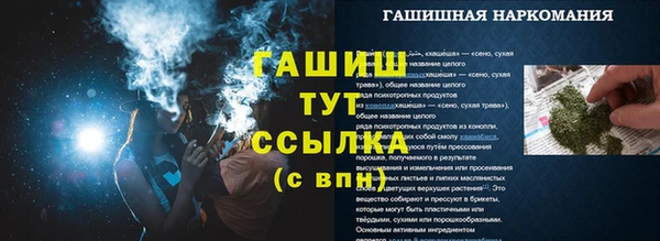 гашик Касимов