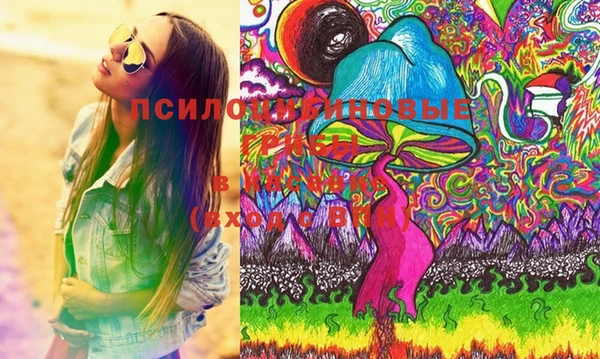 эйфоретик Карпинск